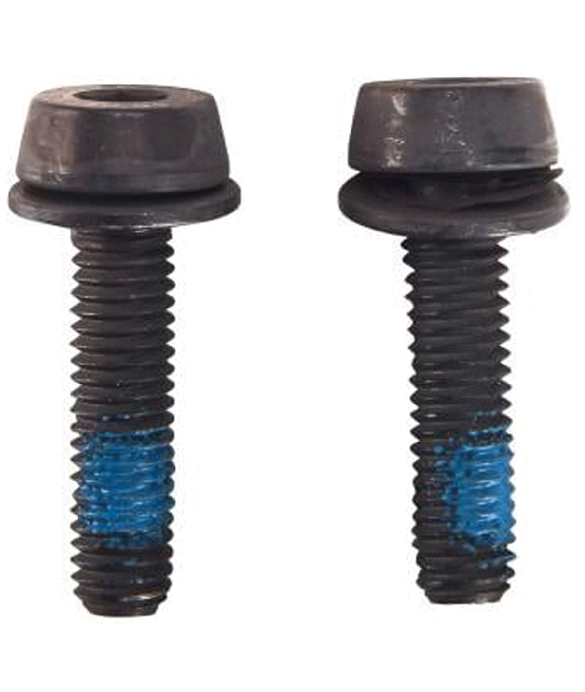 Kit Campagnolo con 2 tornillos de fijación.