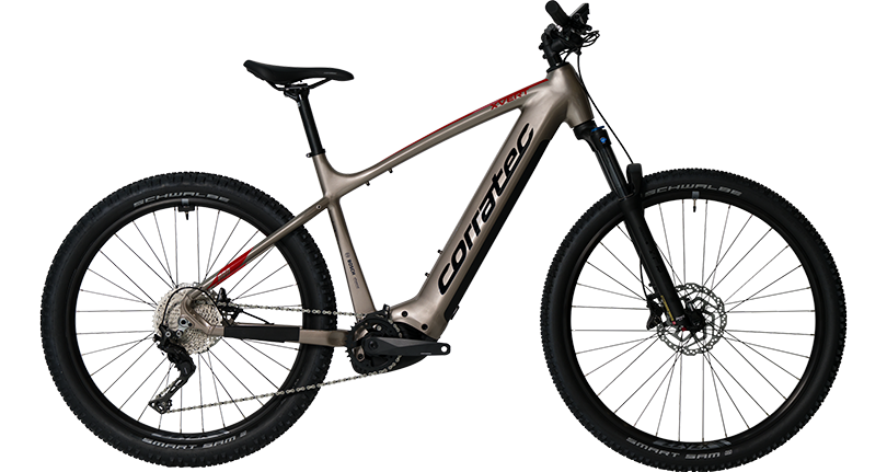 Corratec E-Power X-Vert Pro Gent (24)