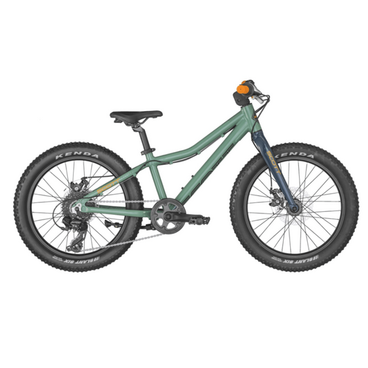 Scott Roxter 20 "Verde