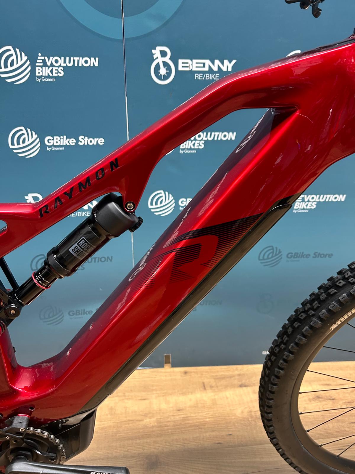 Raymon AirRay 10.0 coupe L - Utilisé