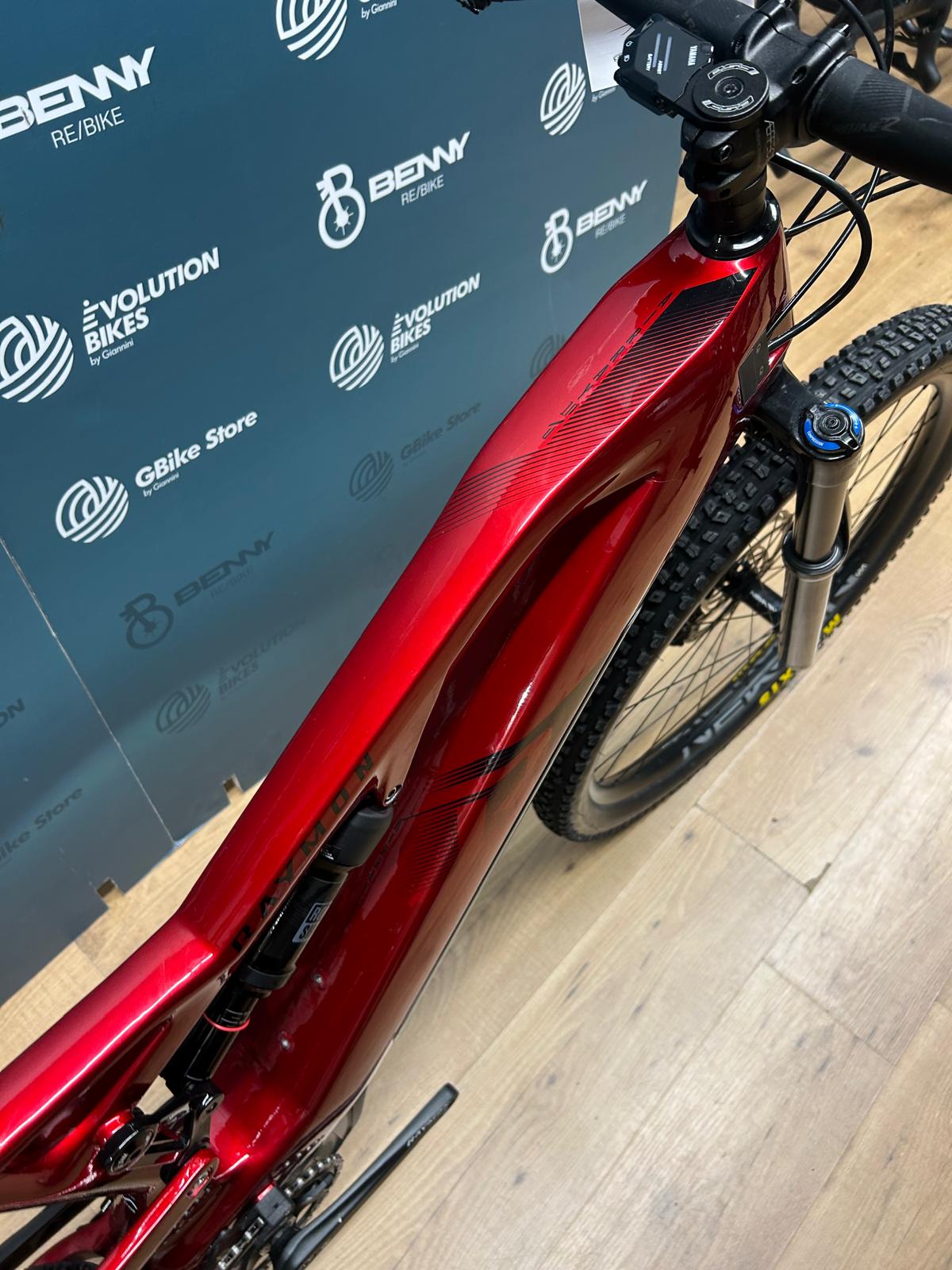 Raymon AirRay 10.0 coupe L - Utilisé