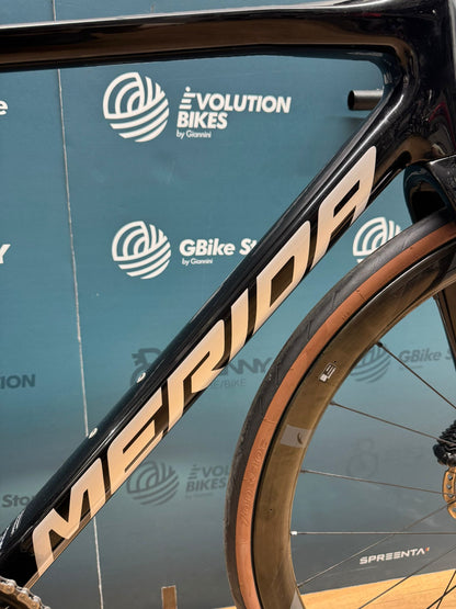 Sculpture Mérida taille 6000 S - Utilisé