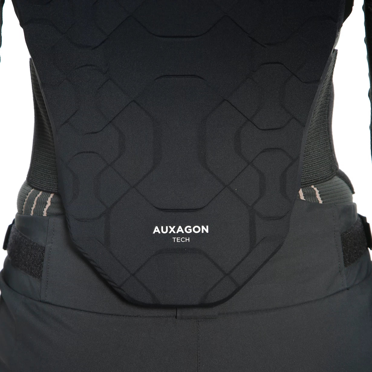 Dainese Paraschiena auxagon Back Protector 1