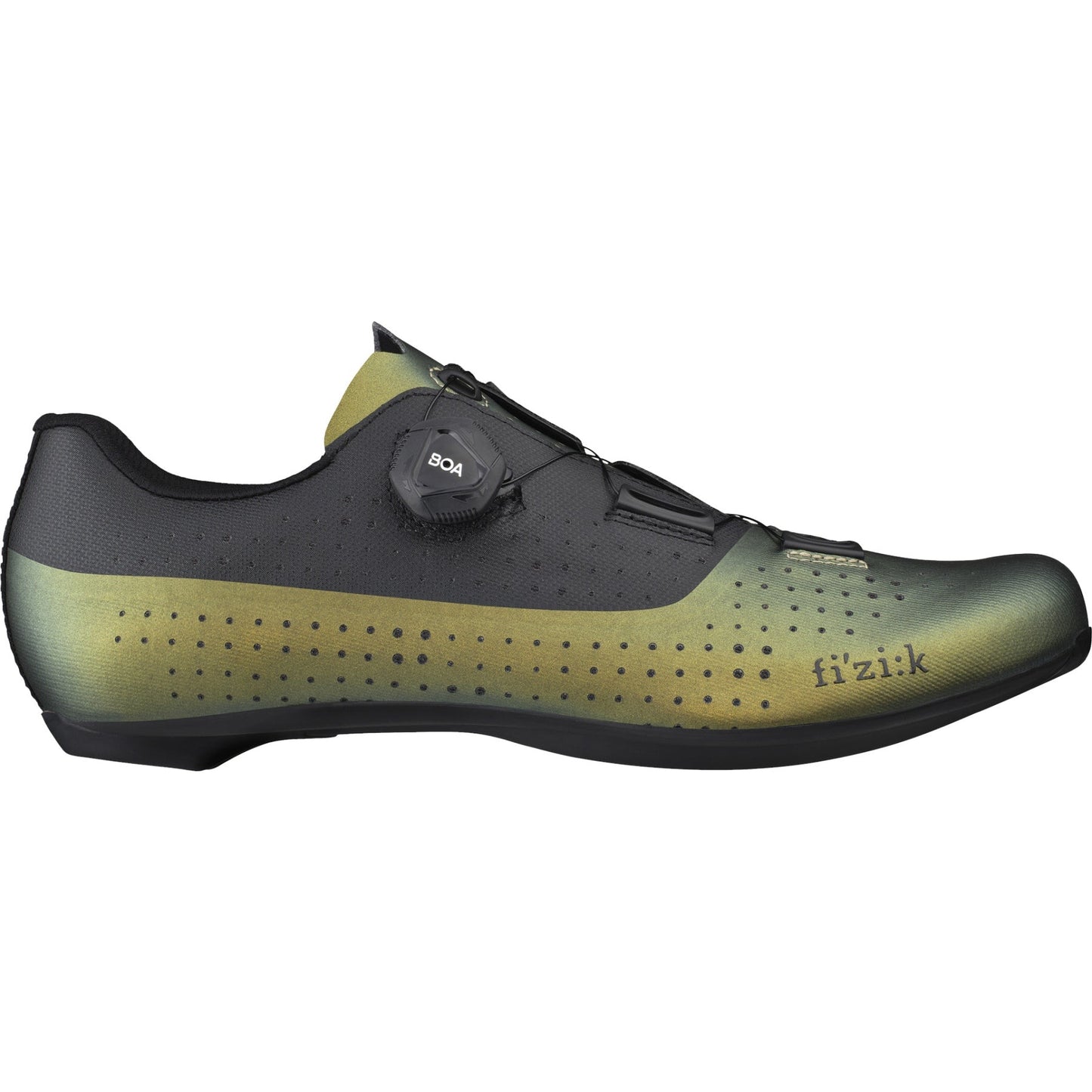 Chaussures Fizik Tempo Overcurve R4 Irisées