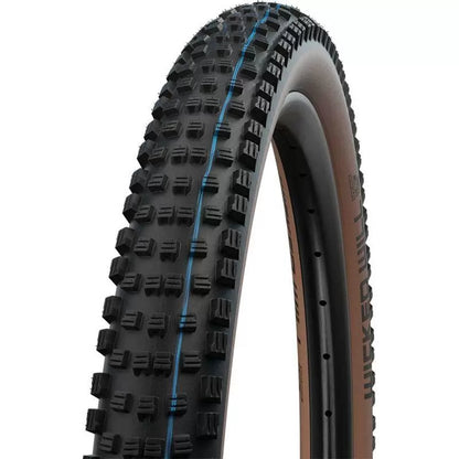 Schwalbe Wicked Wicked Schwalbe Speed ​​Speedgrip Tle Transparentná pokožka 29x2.40