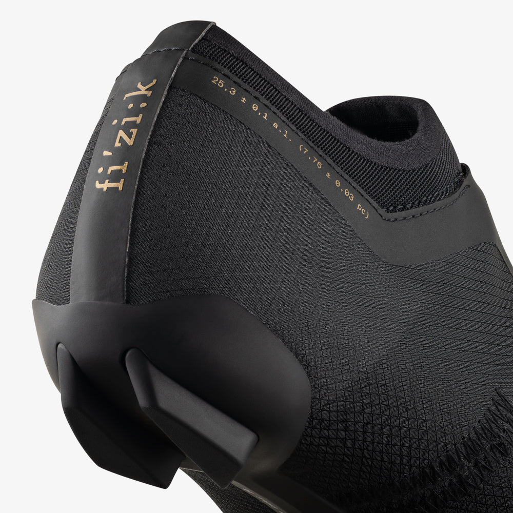 Fizik Vaga Carbon shoes